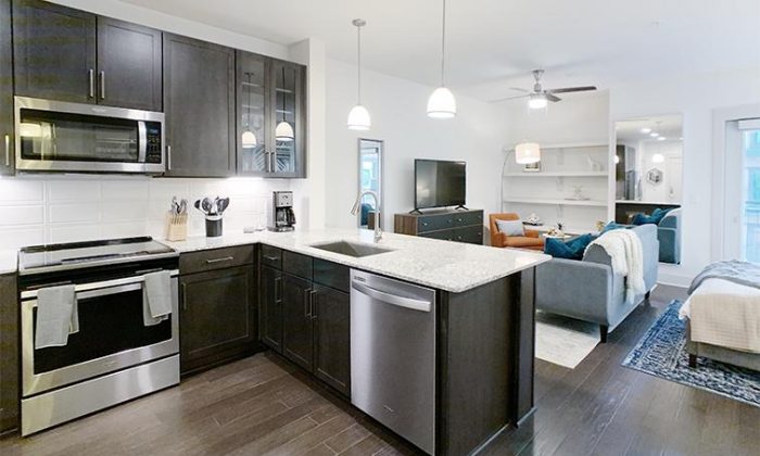 Dallas Lower Greenville luxury apartment kitchen