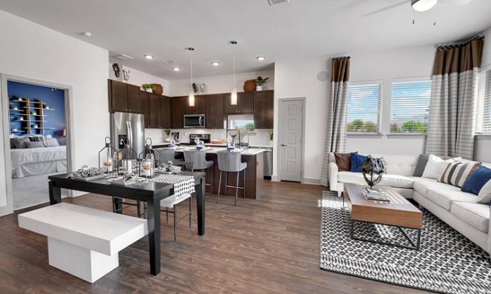 Dallas Farmers Branch Carrollton luxury apartment kitchen and living room
