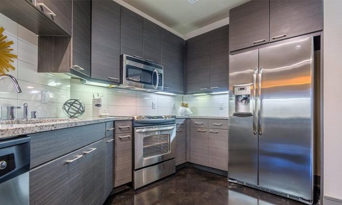 Dallas Design District luxury apartment kitchen