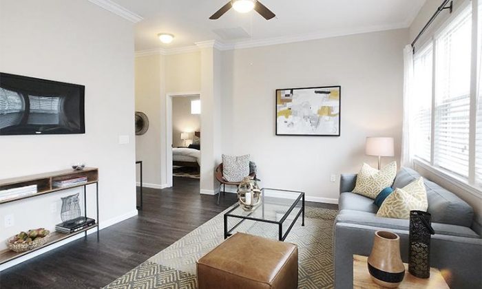 Dallas Plano luxury apartment living room