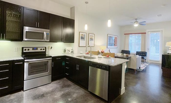 Dallas Oak Lawn luxury apartment kitchen and living room