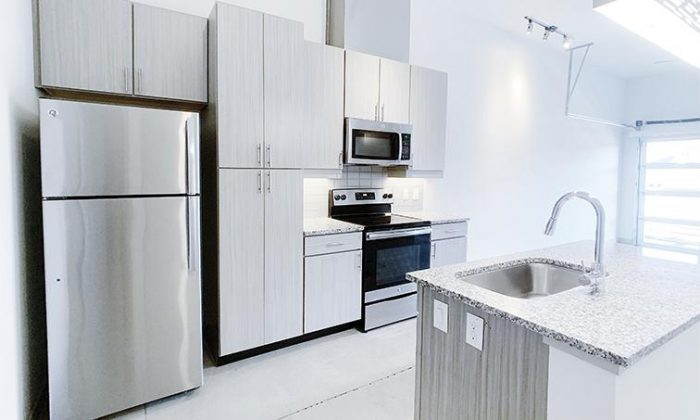 Dallas Cedars luxury apartment kitchen