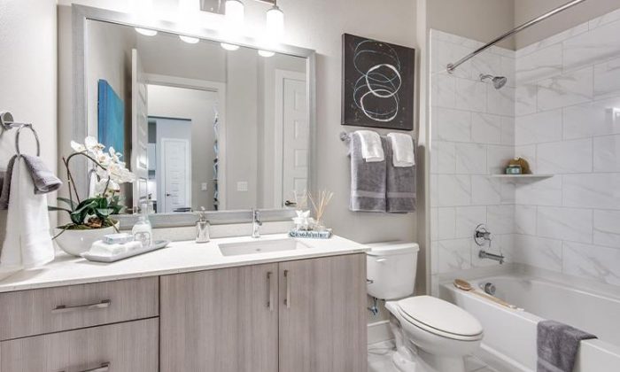 Dallas Medical District luxury apartment bathroom
