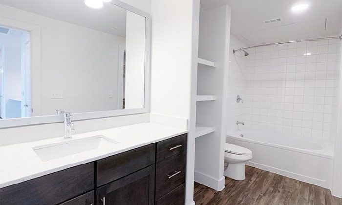 Dallas McKinney Allen luxury apartment bathroom