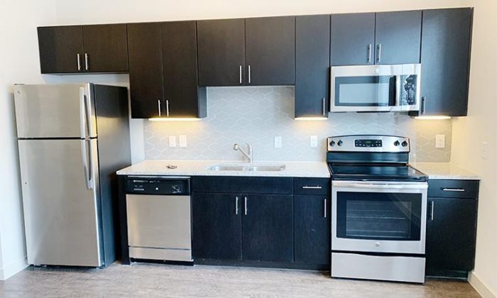 Dallas Cedars luxury apartment kitchen