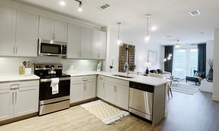 Northeast Dallas luxury apartment kitchen