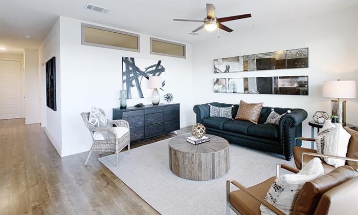 Northeast Dallas luxury apartment living room