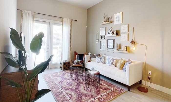Dallas Richardson luxury apartment living room