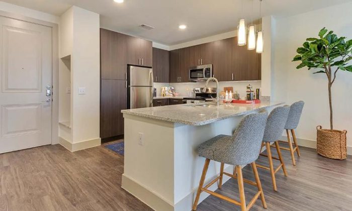 Dallas Vickery Meadow luxury apartment kitchen