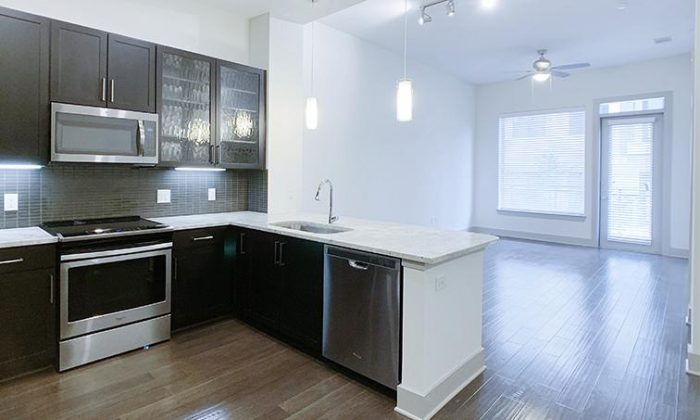 Dallas Richardson luxury apartment kitchen