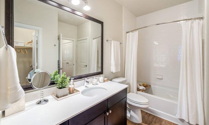 Dallas Vickery Meadow luxury apartment bathroom