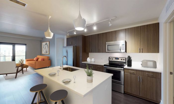 luxury apartment kitchen