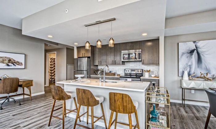 large luxury apartment kitchen