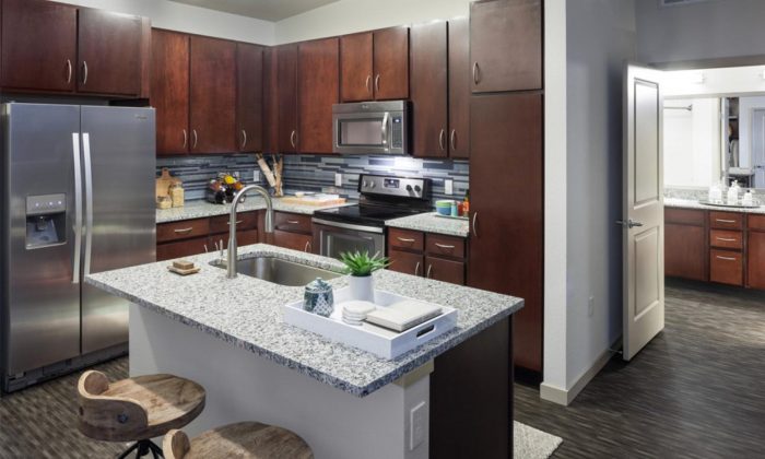 luxury apartment kitchen
