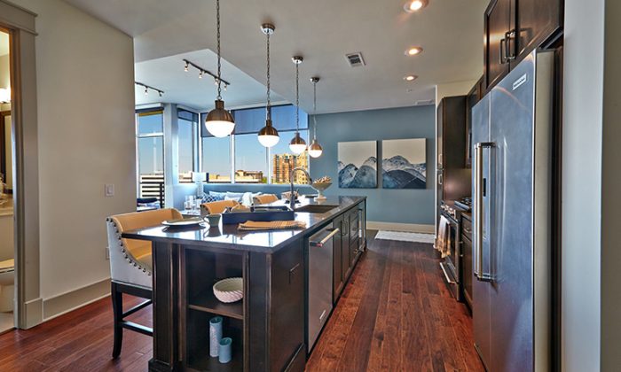 luxury apartment kitchen with dark finishes
