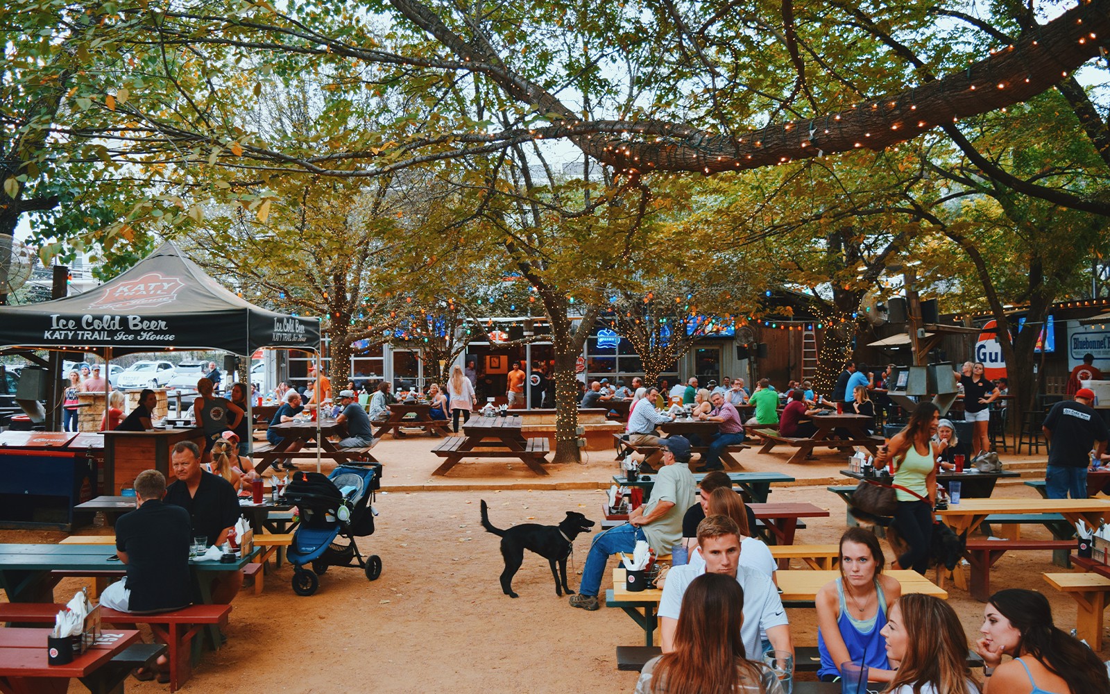 The Dallasites101 Neighborhood Guide Uptown Dallas Smart City Locating