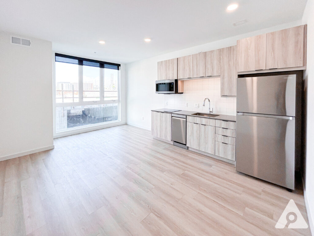 Denver Apartment - Living Room