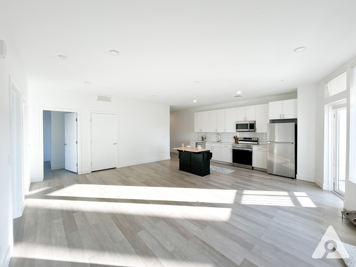 Denver Apartment - Large Living Room