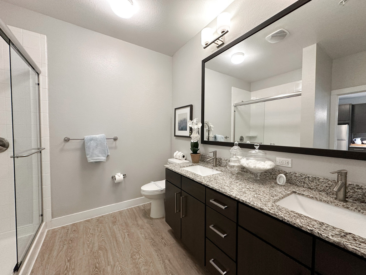 Dallas Apartment Bathroom