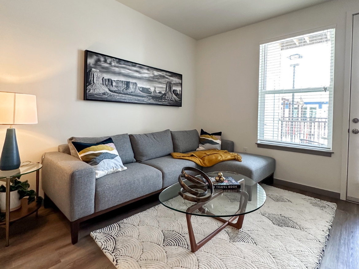 Denver Apartment - Living Room