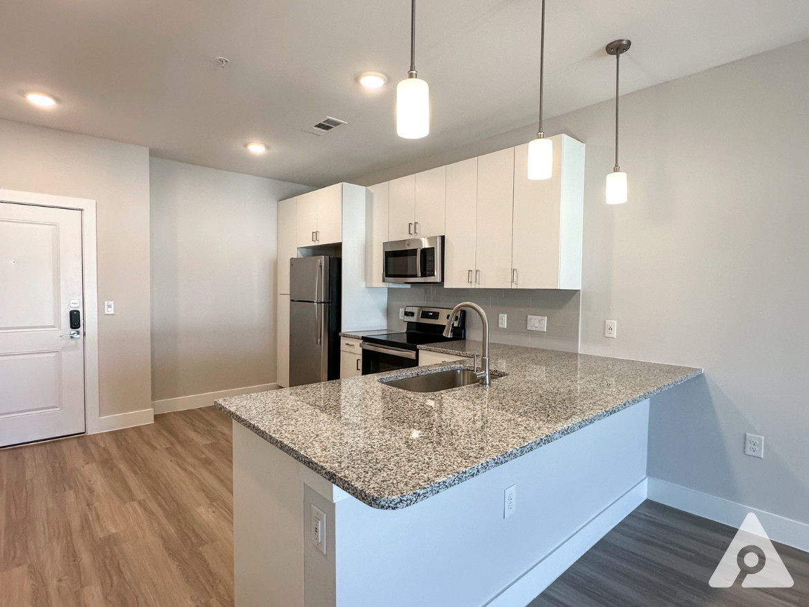 South Austin Apartment Kitchen