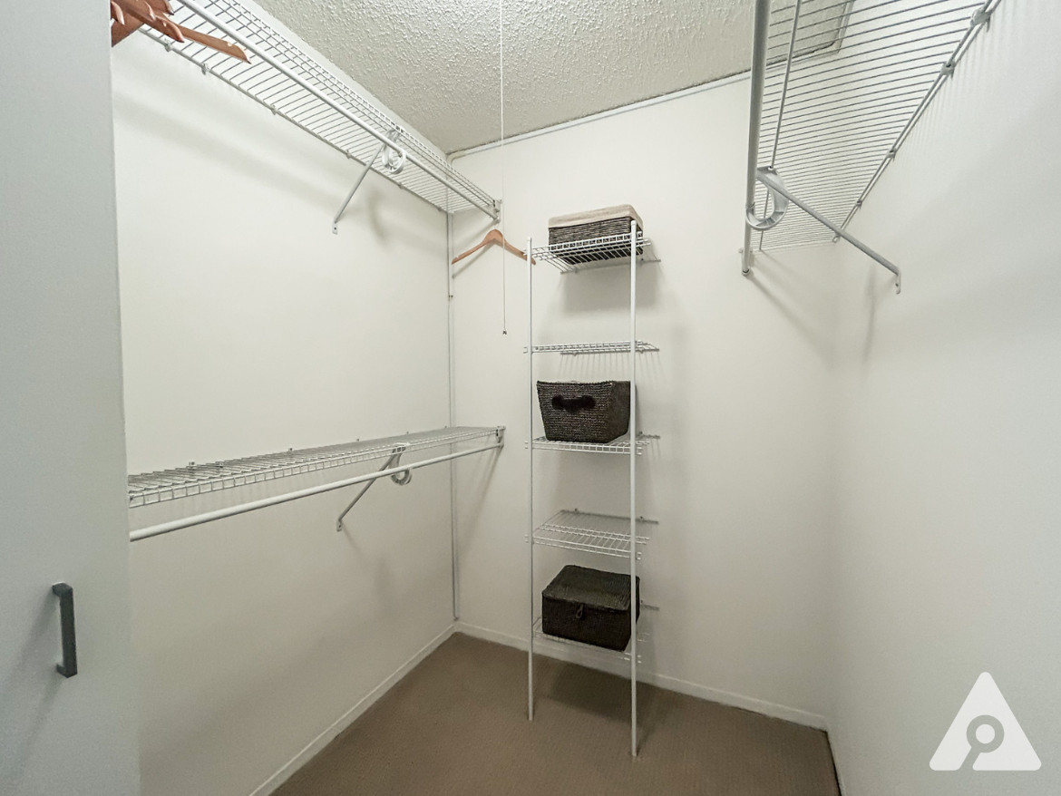 Chicago Apartment Walk in closet