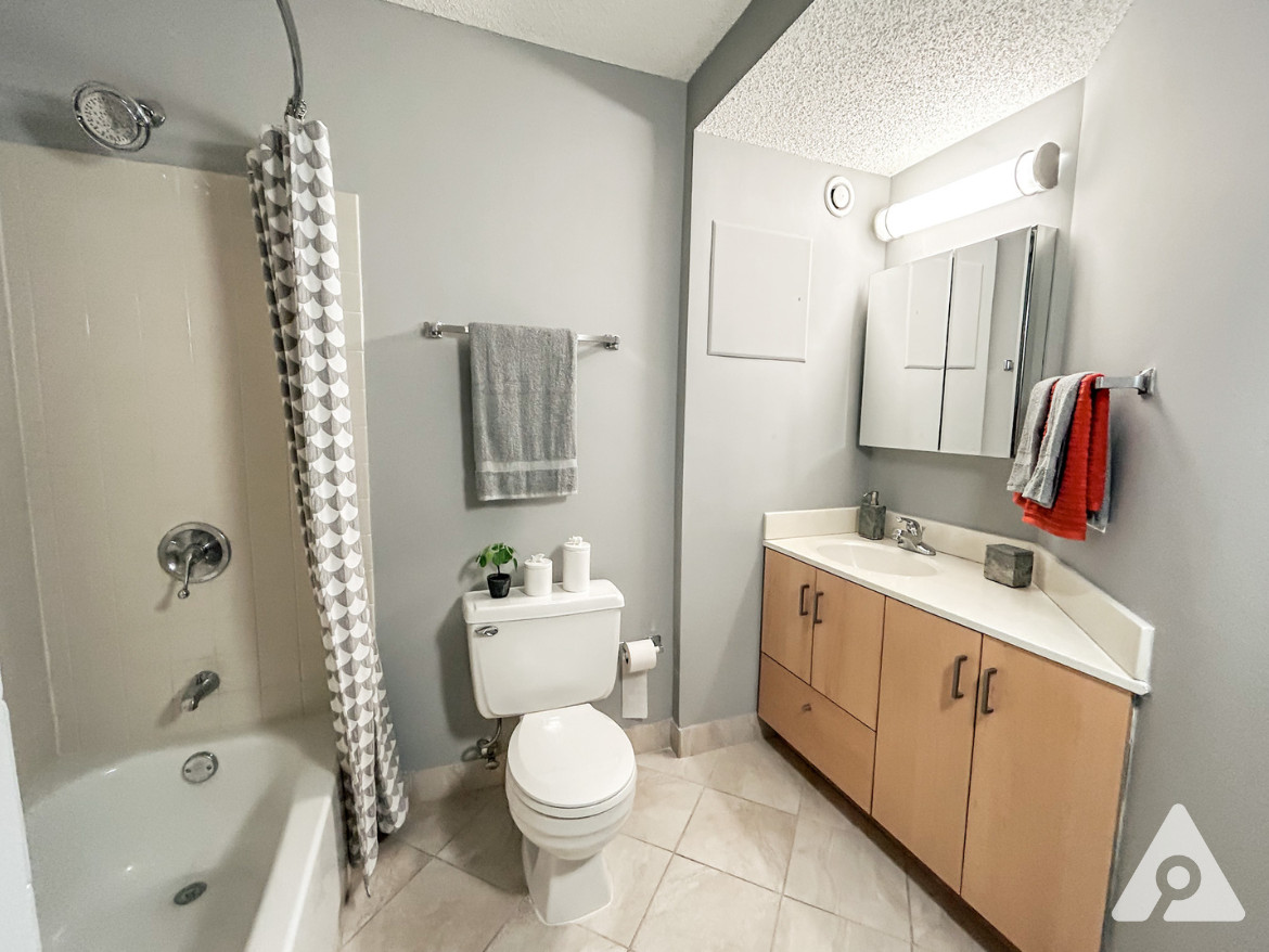 Chicago Apartment bathroom