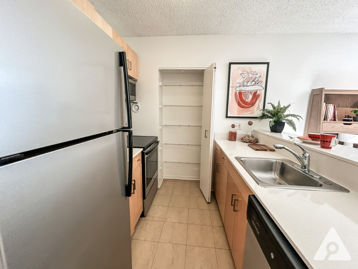 Chicago Apartment kitchen