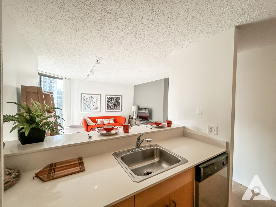 Chicago Apartment kitchen