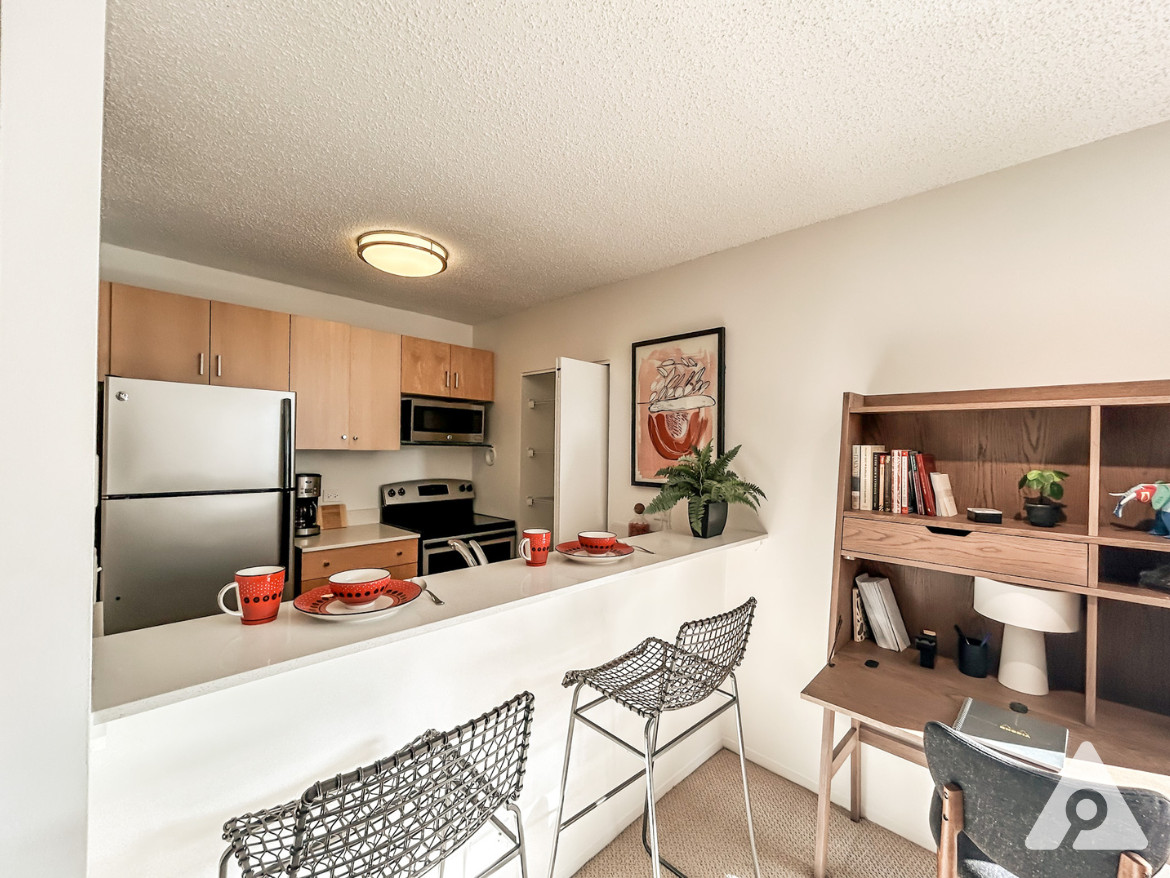 Chicago Apartment kitchen