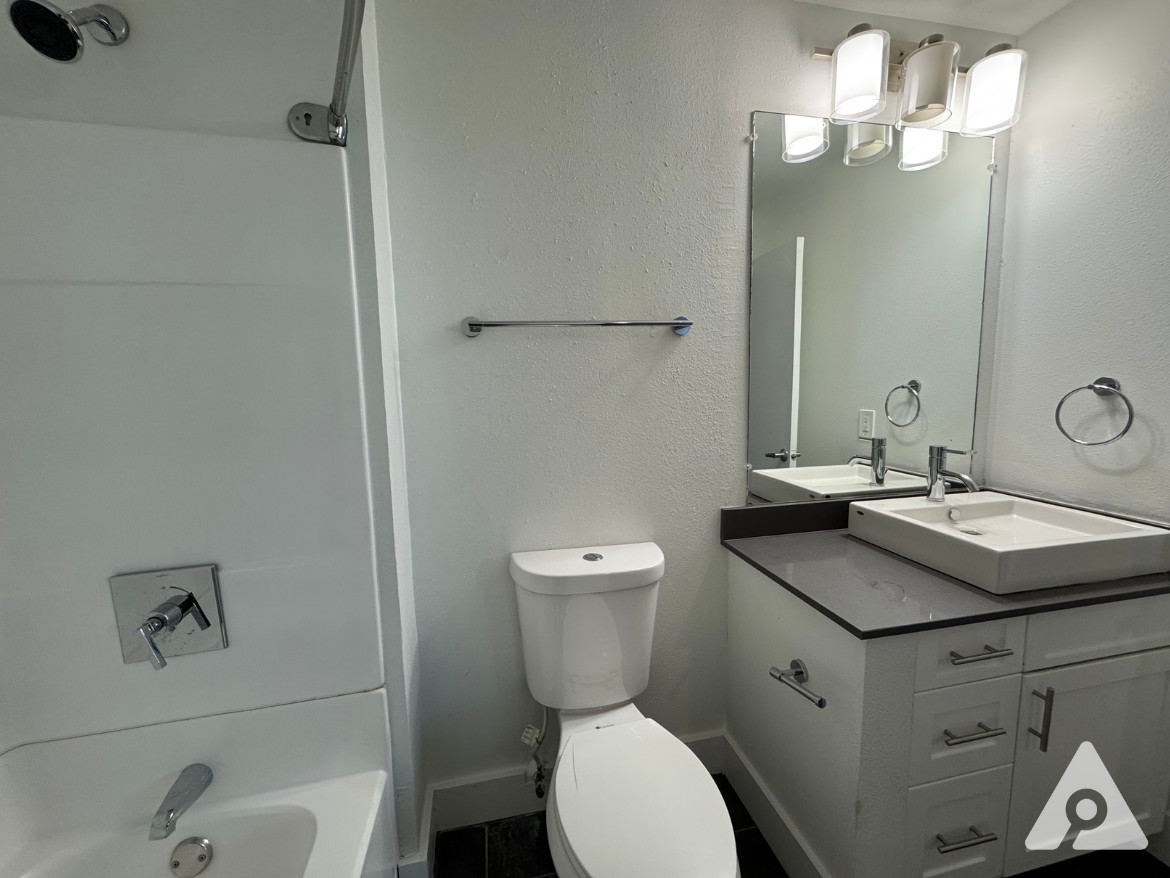 Downtown Fort worth Penthouse Bathroom