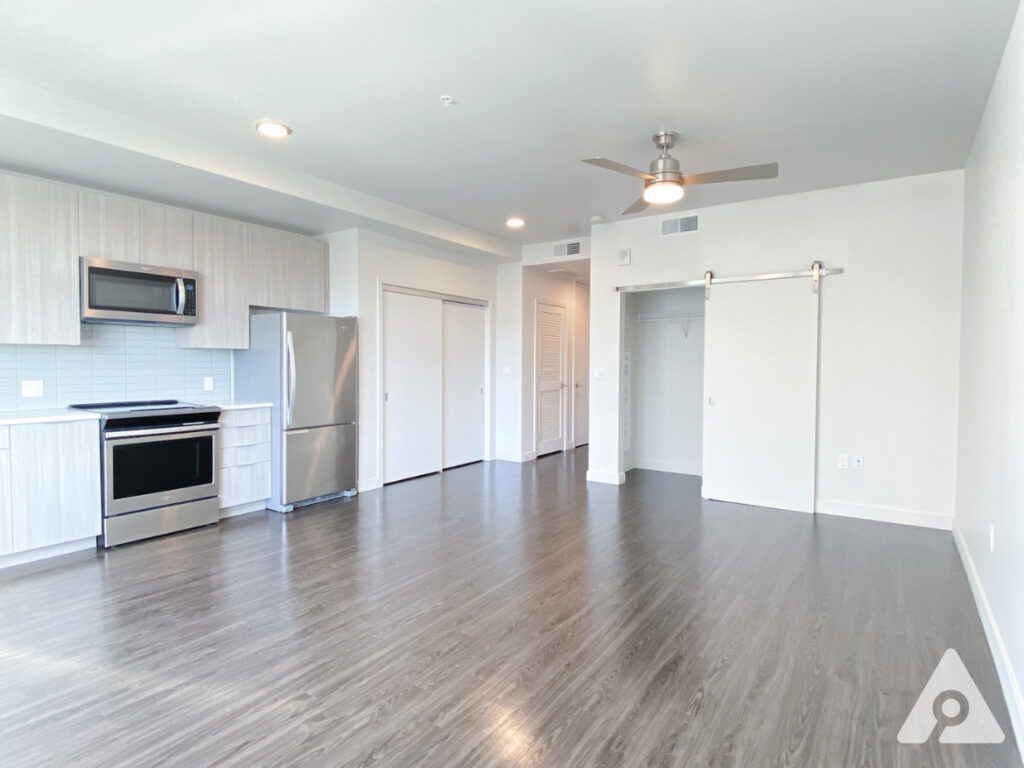 Denver Apartment - Living Space/ Bedroom