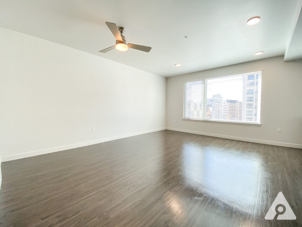 Denver Apartment - Living Space/ Bedroom