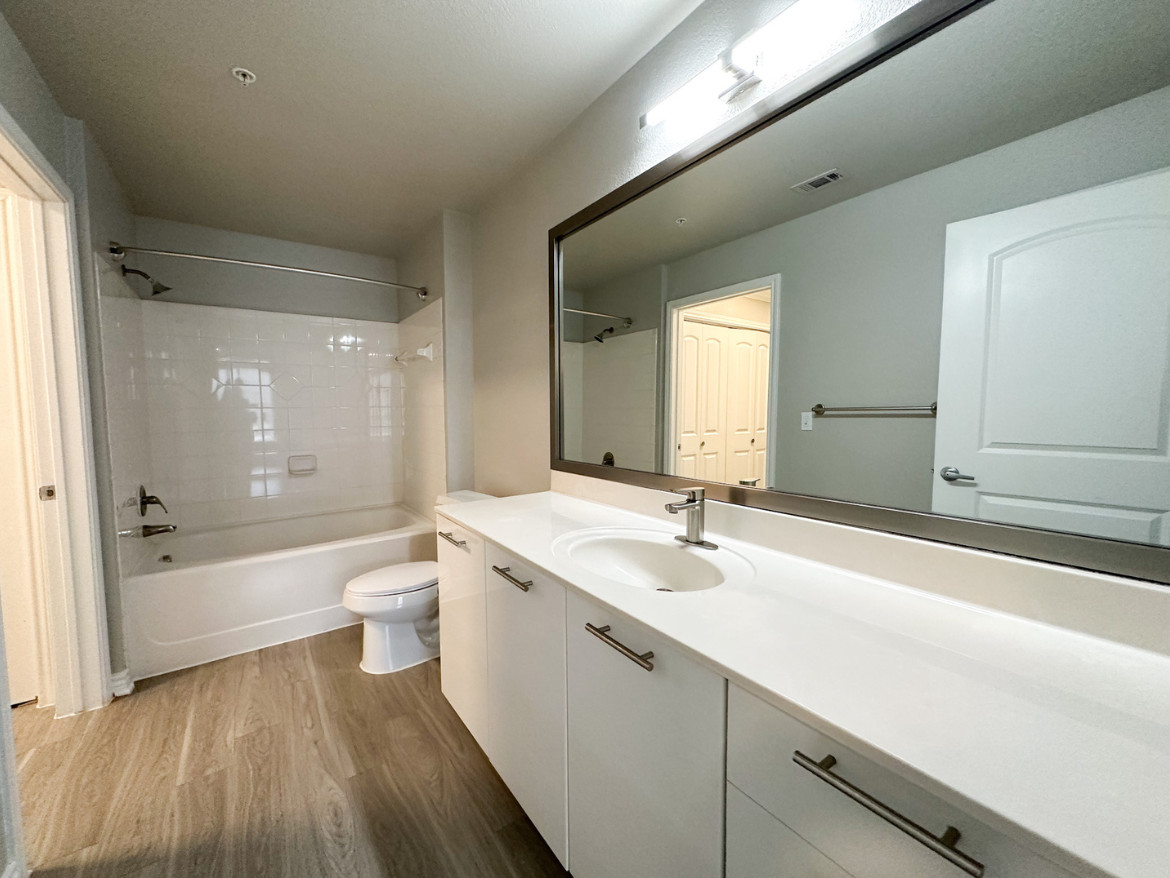 Dallas Apartment Primary Bathroom