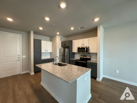 South Fort Worth Apartment Kitchen