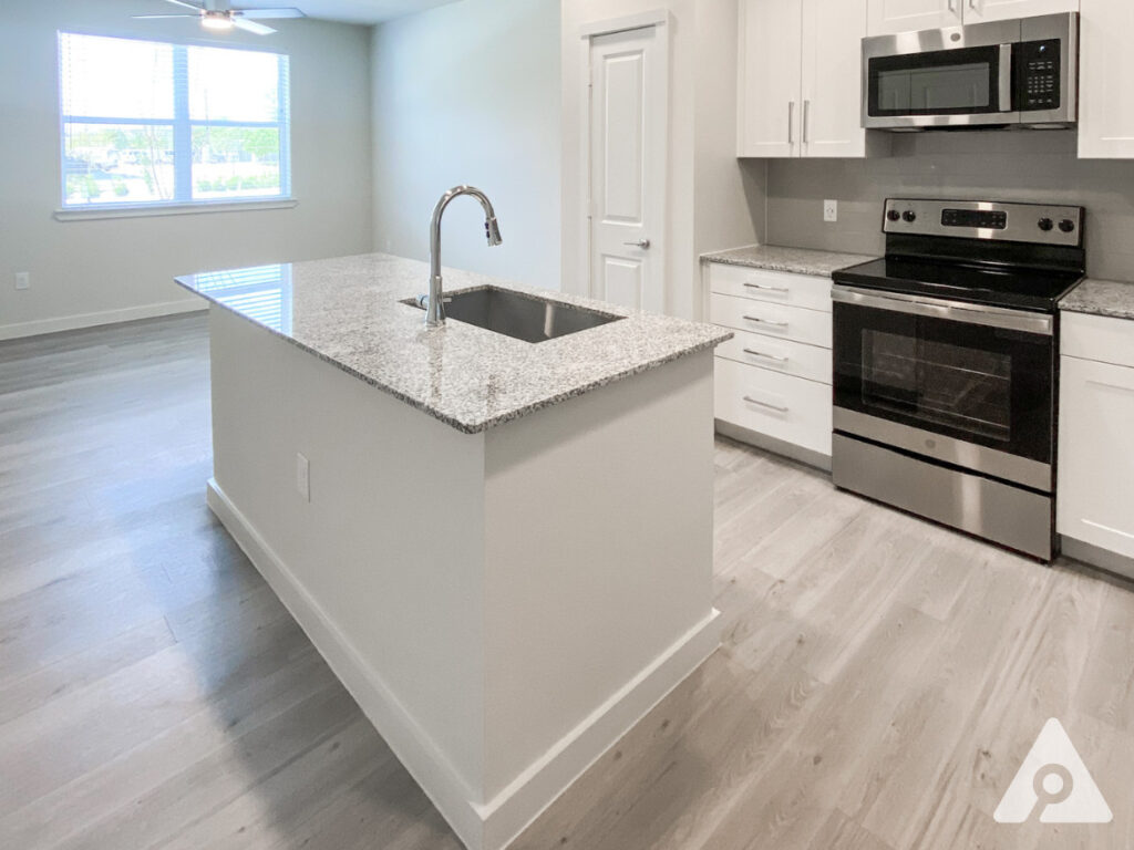 Houston Apartment kitchen
