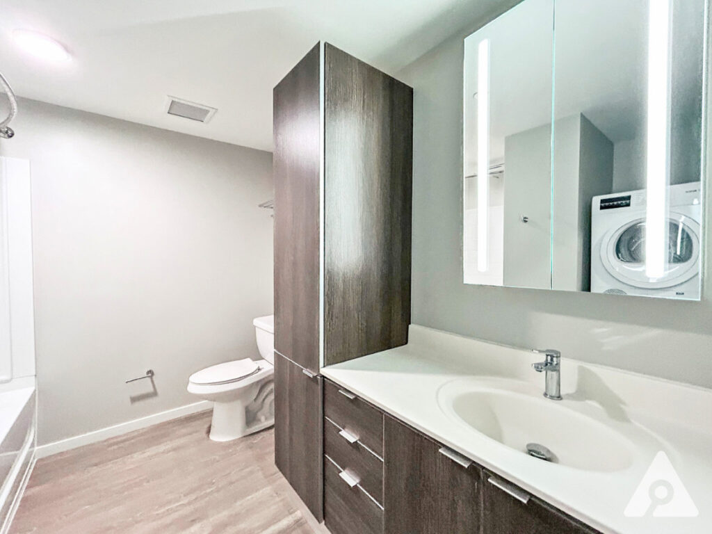 Chicago Apartment bathroom