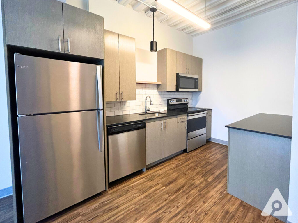 Chicago Apartment kitchen