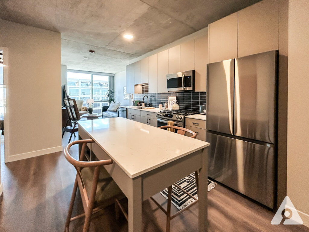Chicago Apartment kitchen