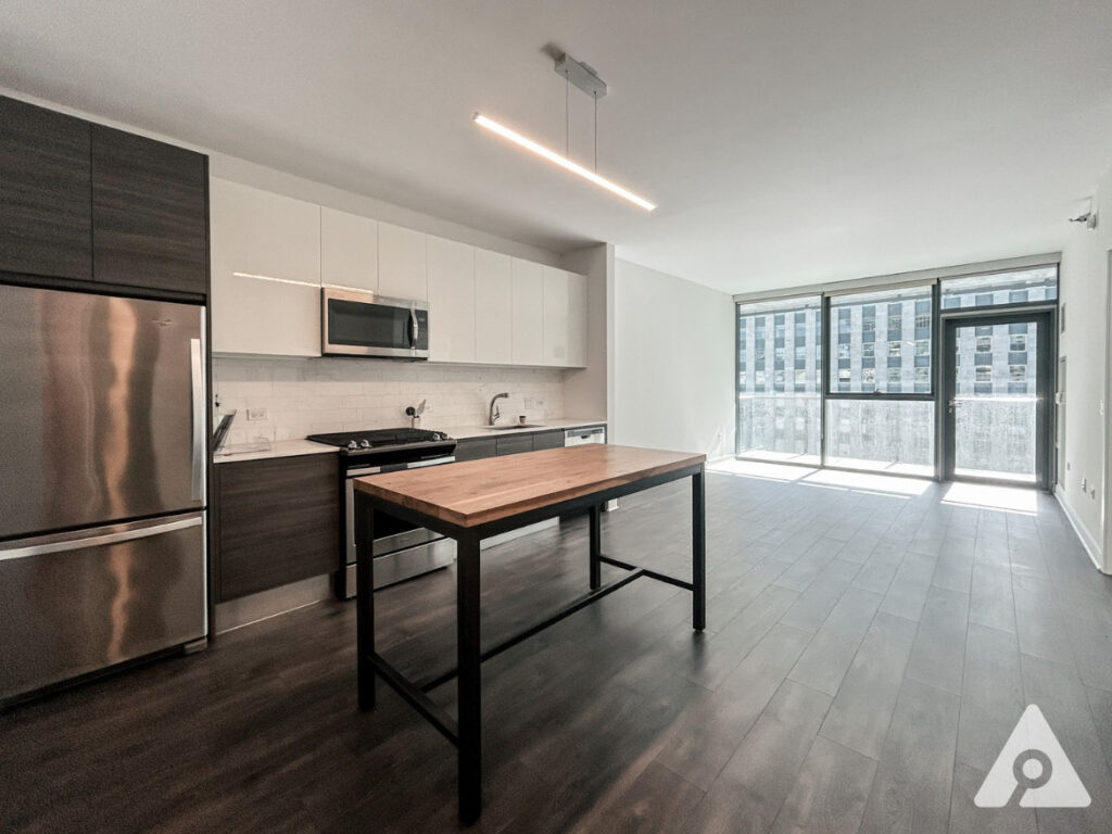 Chicago Apartment kitchen