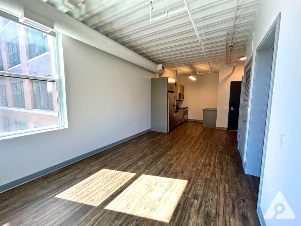 Chicago Apartment living room