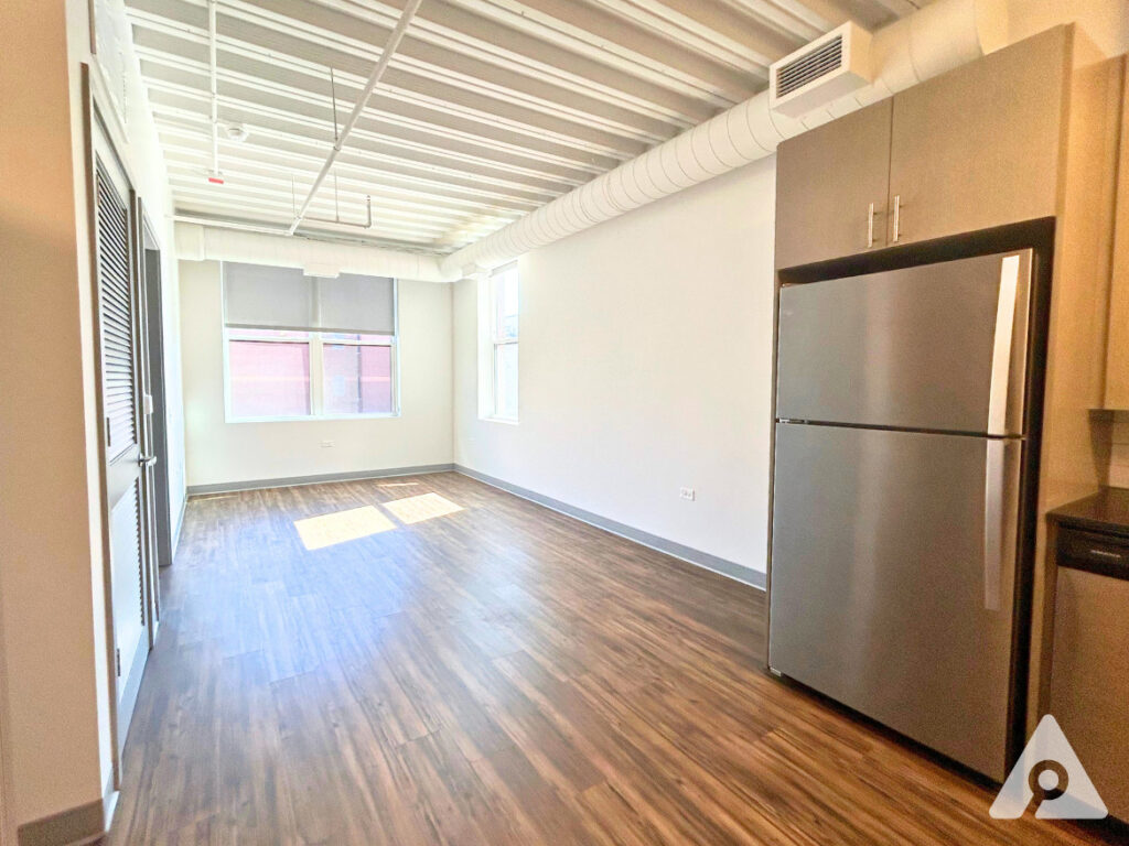 Chicago Apartment living room