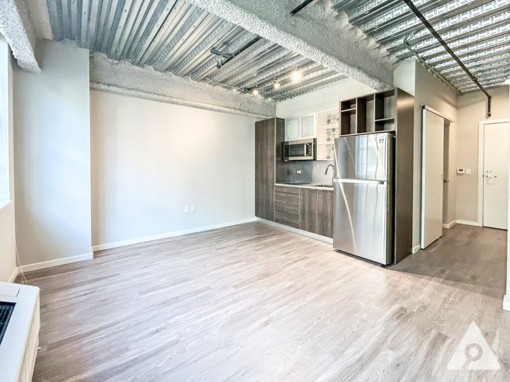 Chicago Apartment living space