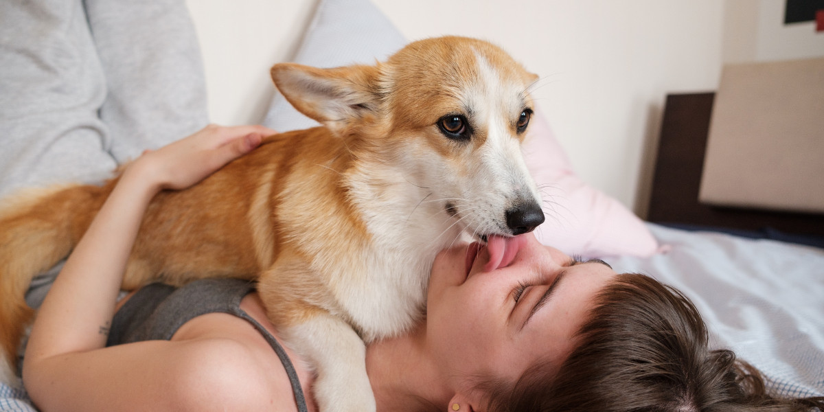 woman with dog licking face