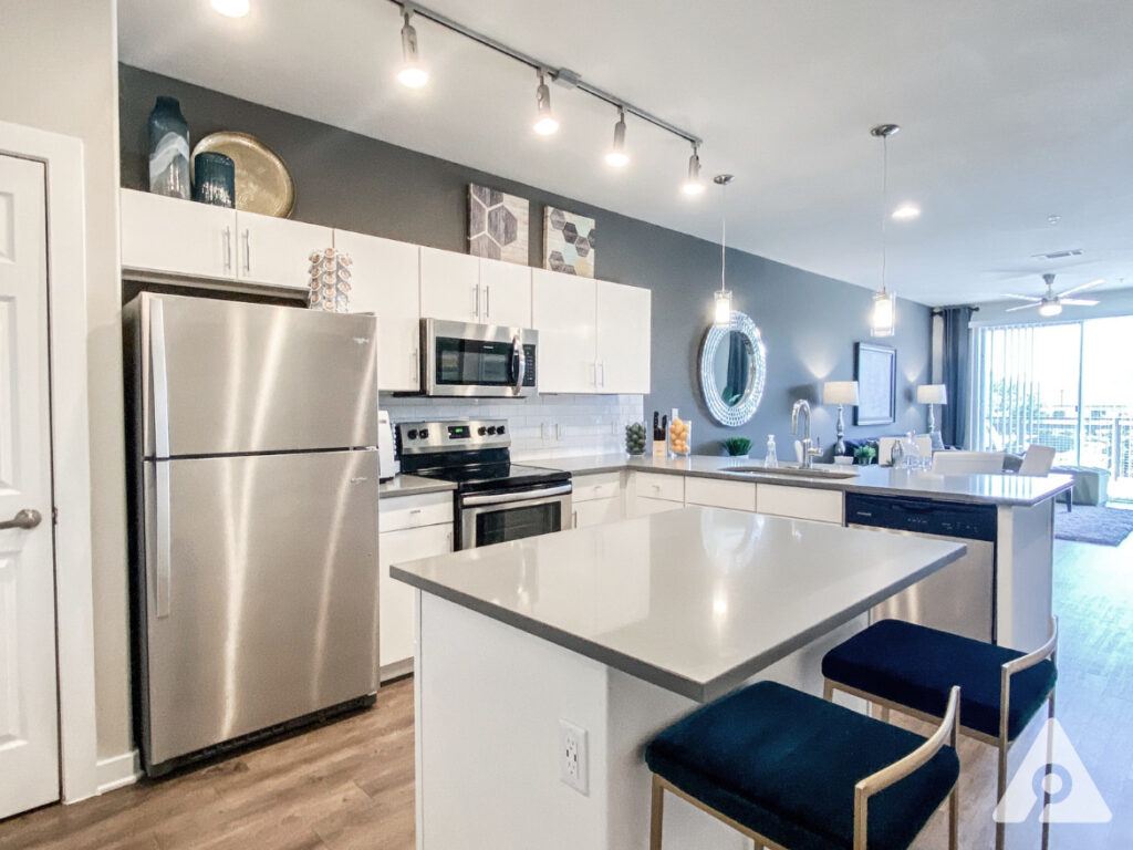 University Apartment Kitchen