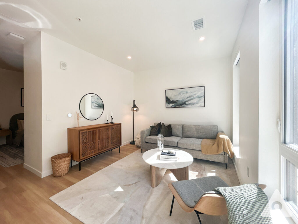 Denver Apartment - Living Room