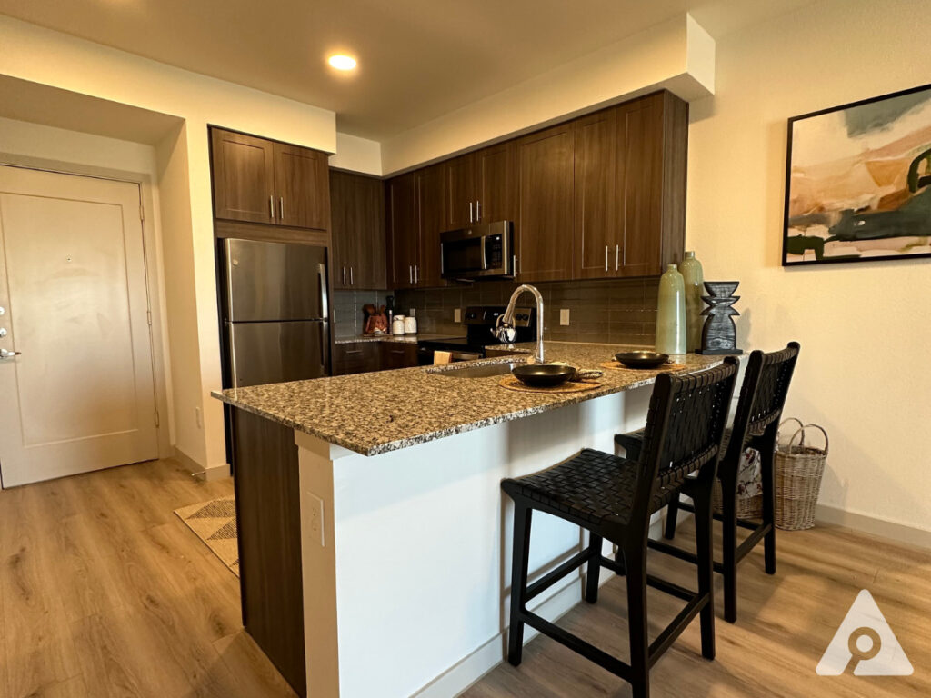 Dallas Apartment Kitchen