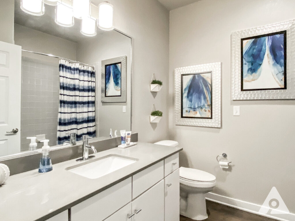 University Apartment Bathroom