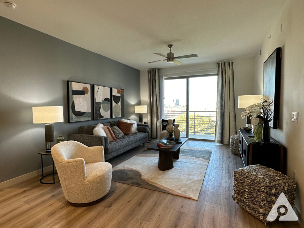 Dallas Apartment Living Room