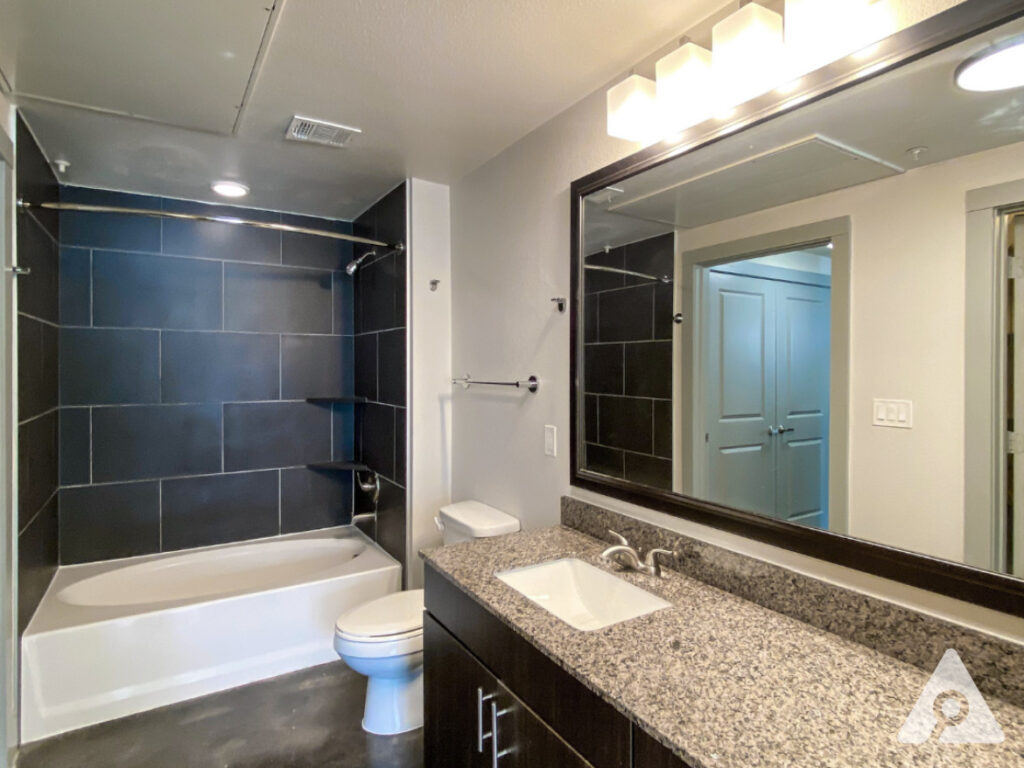 Dallas Apartment Bathroom